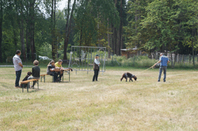 Zuchtschau Hündinnen