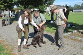 Zuchtschau Heidenfeld 2011						 							 Gemeldet: 18, geprüft:18, bestanden:17 Hunde 							Punkte 						 						 							Kira von der Riedleite 43/09, gew. 24.01.2009, spl,sil,AH 								F:Alfons Reiner, 86502 Osterbuch 							77 						 						 							Mira von der  Schmiede 16/09, gew. 29.01.2009, spl,sil 							F: Ulrich Mergner, 96157 Ebracht 							76 						 						 							Herzog von Buchheim 444/08, gew. 03.10.2008, stumm 							F: Christian Seelmann, 91315 Höchstadt/A, 							75 						 					 							/Horneth von Buchheim 446/08, gew. 03.10.2008, sil 							F: Leonhard Schmieg, 91593 Buchheim 							74 						 					 							Hanno vom Emsdeich 582/08, gew. 26.12.2008, sil 							F: Uwe Meißner, 91620 Ohrenbach 							73 						 					 							Bazi vom Labertal 522/08, gew. 02.11.2008,sil 							F: Detlev Ring, 96152 Burghaslach 							70 						 					 						Yesterday vom Sämmenhof 384/09, gew. 06.09.2009, sil 							F: Hans Sämmer, 97950 Gerchsheim 						67  					 					 						Yesko vom Sämmenhof 377/09, gew. 06.09.2009, Laut fragl 							F: Hans Sämmer, 97950 Gerchsheim 						67 					 					 						Yulchen vom Sämmenhof 385/09, gew. 06.09.2009, silF: Kerstin Epp, 97957 Wittighausen 						66 					 					 						Ayka von der Bachmühle 540/08, gew. 25.12.2008, sil 							F: Erika Hauf, 91598 Colmberg 						63  					 					 						Heidi von Buchheim 445 /08, gew. 03.10.2009, sil 							F: Burkhard Merget, 63791 Karlsteins 						55 					 					 						Bero vom großen Herzberg 279/09, gew. 06.05.2009, sil 							F: Bernd Franke, 31195 Lamspringe 						54 					 					 						 							 								 									 										Hunde aus dem Zuchtversuch 									 								 							 						 					 					 						 							 						 					 					 						Etzel von Buchheim 34ZV09 - 65/09, gew. 06.02.2009, spl 							F: Ursula Reese-Schicker, 90592 Schwarzenbruck 						74 					 					 						Esche von Buchheim 37ZV09 - 68/09, gew. 06.02.2009, spl 							F: Christoph Rabeler, 25872 Ostenfeld 						70 					 					 						Enjia von Buchheim 36ZV09 - 67/09, gew. 06.02.2009, spl, sil 							F: Klaus Eisen, 97215 Simmershofen 						67 					 					 						Eiko von Buchheim 32ZV09 - 63/09, gew. 06.02.2009, spl 							F: Waltraud Müller, 91572 Bechhofen 						63 					 					 						Equo von Buchheim 33ZV09 - 64/09, gew. 06.02.2009, spl 							F: Jörn Cordes, 26840 Koldenbüttel 						62  					 					 				 				 				Suchensieger wurde Kira von der Riedleite, geführt von Alfons Reiner 			 			 	