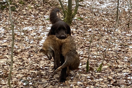 platzhalter aufmacherbild